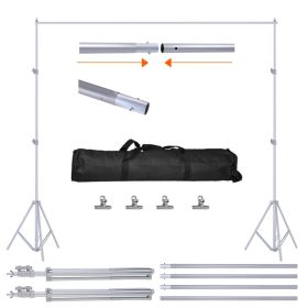 1Pc 6.5 Plus 10ft Photo Video Studio Backdrop Background Stand Adjustable Heavy Duty Photography Backdrop Support Stand Set With Carrying Bag Cla (Option: Silver)